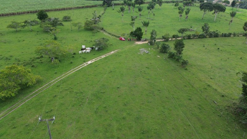 Fazenda 47 hectares em Santa Cruz Cabrália Cabrália Santa Cruz Cabrália - 