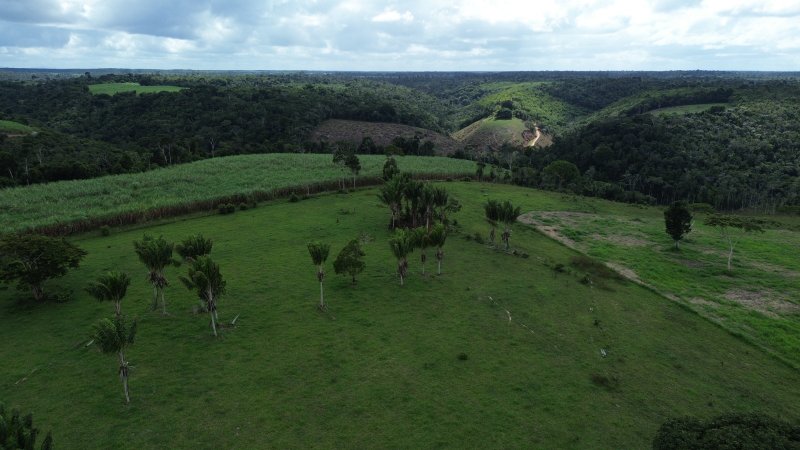 Fazenda 47 hectares em Santa Cruz Cabrália Cabrália Santa Cruz Cabrália - 
