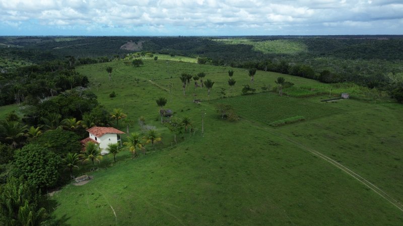 Fazenda 47 hectares em Santa Cruz Cabrália Cabrália Santa Cruz Cabrália - 
