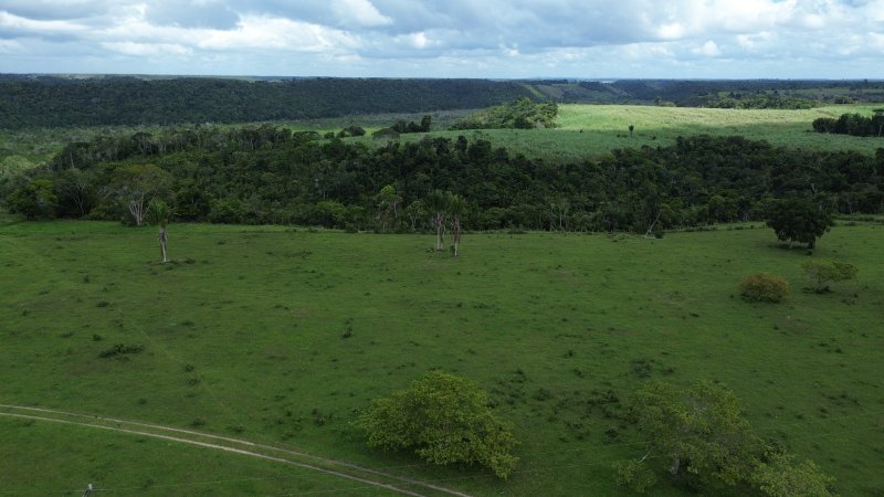 Fazenda 47 hectares em Santa Cruz Cabrália Cabrália Santa Cruz Cabrália - 