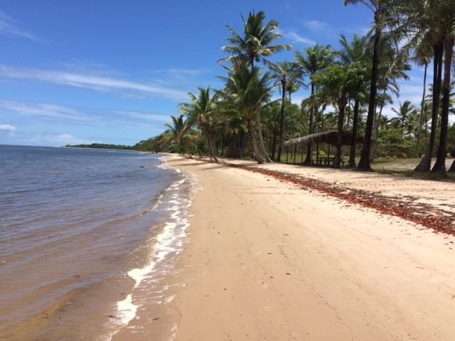 TERRENO MARAVILHOSO À VENDA NA PRAIA DO PRATIGI! Praia do Pratigi CAIRU - 