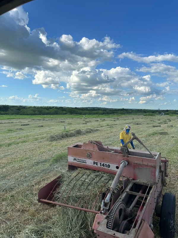 FAZENDA MARAVILHOSA NO MUNICÍPIO DE IAÇU À VENDA! Fazenda Morros IAÇU - 