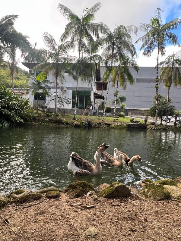 Sitio no Sertão do trombudo em Itapema SC rua Isidoro Luis Crispim Itapema - 