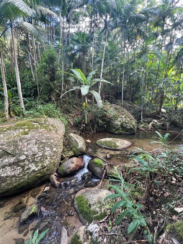 Sitio no Sertão do trombudo em Itapema SC rua Isidoro Luis Crispim Itapema - 