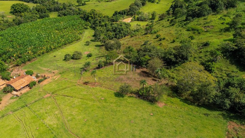 OPORTUNIDADE CAPELINHA ANICUNS/GO - SITIO 6 ALQUEIRES E 60 LITROS - VALOR R$ 2.500.000,00 CAPELINHA GO Anicuns - 
