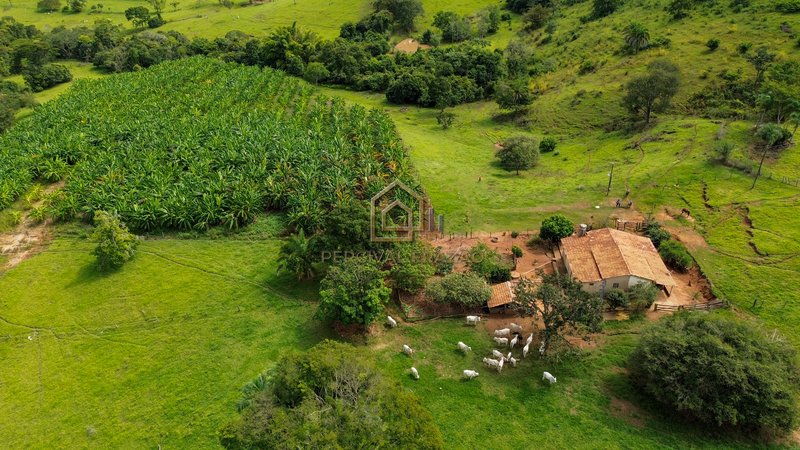 OPORTUNIDADE CAPELINHA ANICUNS/GO - SITIO 6 ALQUEIRES E 60 LITROS - VALOR R$ 2.500.000,00 CAPELINHA GO Anicuns - 