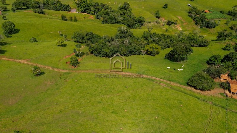 OPORTUNIDADE CAPELINHA ANICUNS/GO - SITIO 6 ALQUEIRES E 60 LITROS - VALOR R$ 2.500.000,00 CAPELINHA GO Anicuns - 