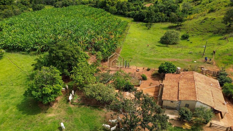 OPORTUNIDADE CAPELINHA ANICUNS/GO - SITIO 6 ALQUEIRES E 60 LITROS - VALOR R$ 2.500.000,00 CAPELINHA GO Anicuns - 