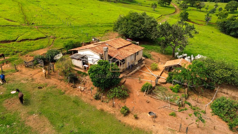 OPORTUNIDADE CAPELINHA ANICUNS/GO - SITIO 6 ALQUEIRES E 60 LITROS - VALOR R$ 2.500.000,00 CAPELINHA GO Anicuns - 