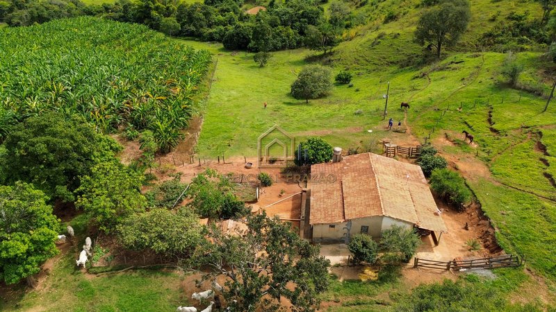 OPORTUNIDADE CAPELINHA ANICUNS/GO - SITIO 6 ALQUEIRES E 60 LITROS - VALOR R$ 2.500.000,00 CAPELINHA GO Anicuns - 