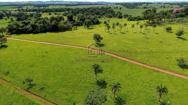 OPORTUNIDADE CAPELINHA ANICUNS/GO - SITIO 6 ALQUEIRES E 60 LITROS - VALOR R$ 2.500.000,00 CAPELINHA GO Anicuns - 