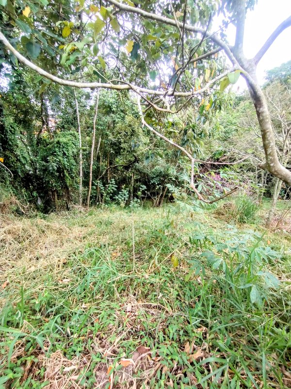 Ótimo terreno à venda no Jd Rosa Helena - Igaratá - 