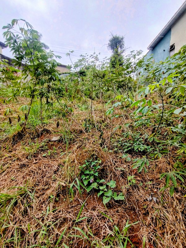 Ótimo terreno à venda no Jd Rosa Helena - Igaratá - 