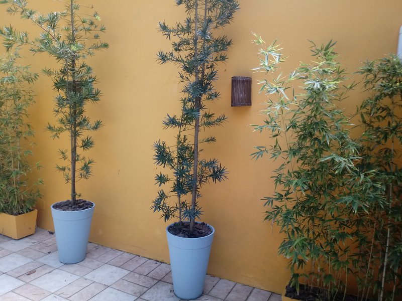APARTAMENTO TIPO CASA 4 QUARTOS 2 SUÍTES VARANDA ÁREA EXTERNA PISCINA À VENDA NA BARRA! Rua Doutor João Pondé Salvador - 