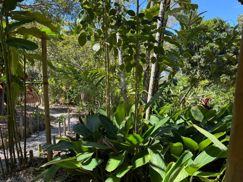 Casa em meio a natureza próximo ao centro de Trancoso centro Porto Seguro - 