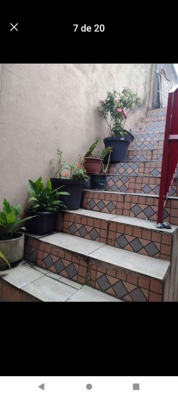 Casa para renda Rua Inácio Monteiro São Paulo - 
