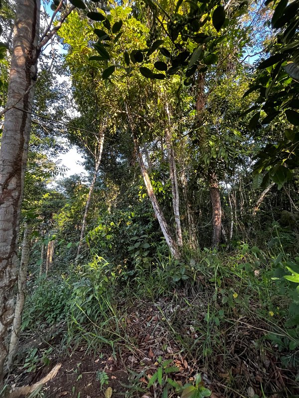 Terreno no Bairro Vilas 2 Vilas 2 Porto Seguro - 