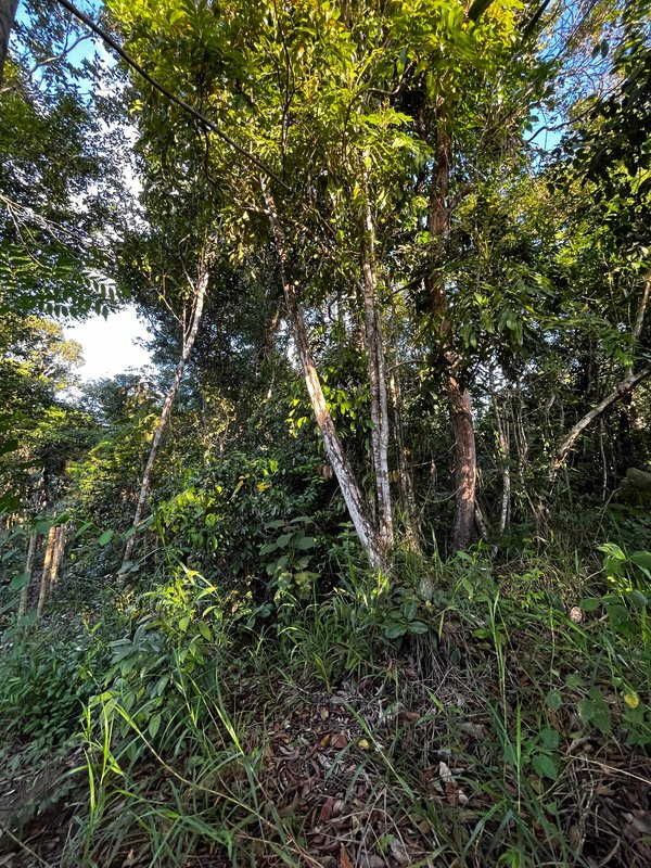 Terreno no Bairro Vilas 2 Vilas 2 Porto Seguro - 