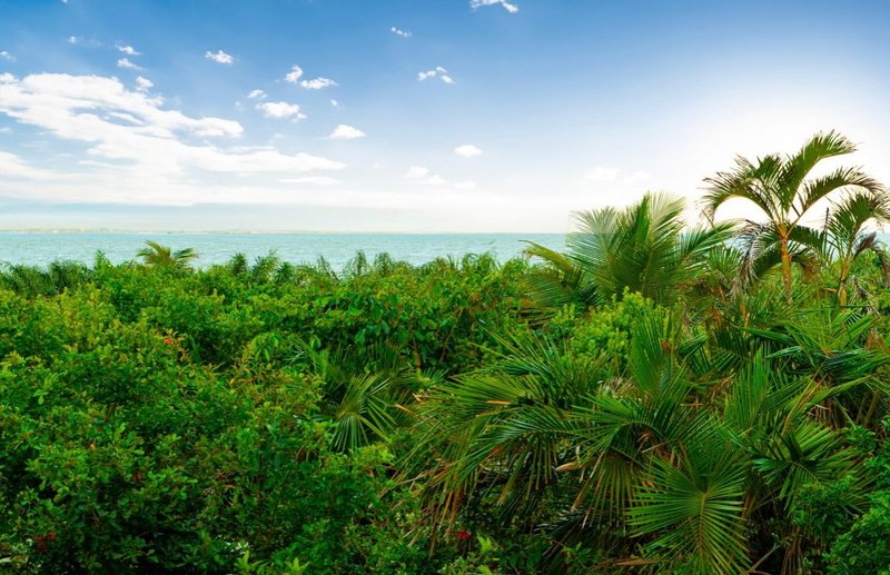 Lindíssima casa em Trancoso - Itapororoca Itapororoca Porto Seguro - 
