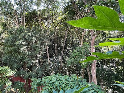 Excelente casa com 03 dormitórios para venda - Alphaville - Santana de Parnaíba - SP Avenida Pentágono Santana de Parnaíba - 