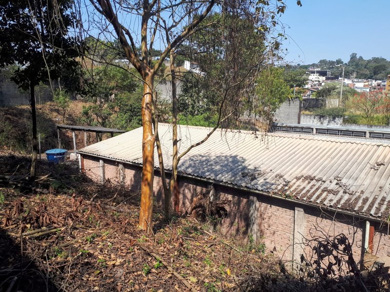 Galpão a  venda Rua da Capela São Paulo - 