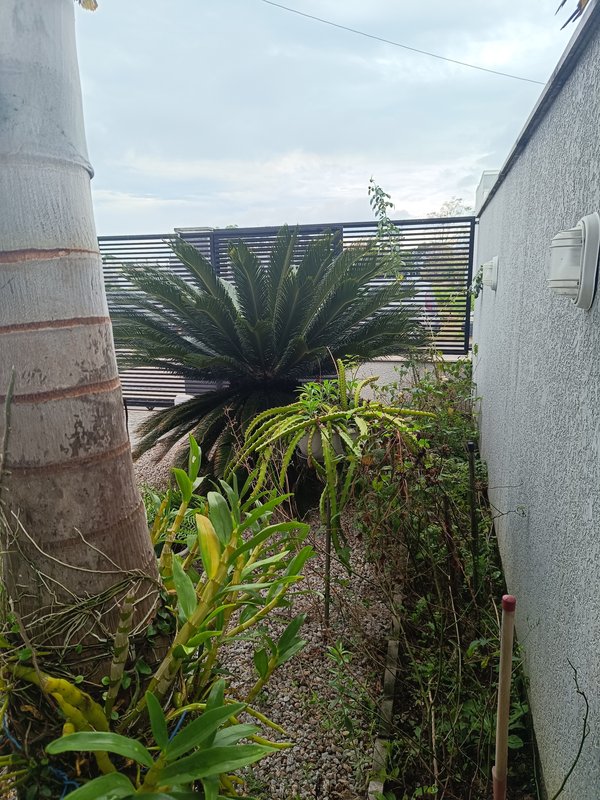 Casa de Alvenaria no Bairro Joaia em Tijucas SC Rua Marlinh Geraldo Tijucas - 
