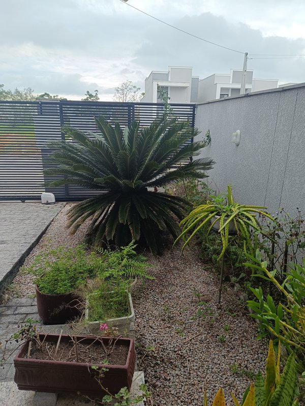 Casa de Alvenaria no Bairro Joaia em Tijucas SC Rua Marlinh Geraldo Tijucas - 