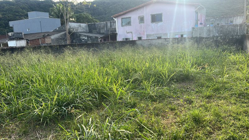 🏡 Oportunidade Imperdível – Terreno à Venda no Massaguaçu | Caraguatatuba/SP - Caraguatatuba - 