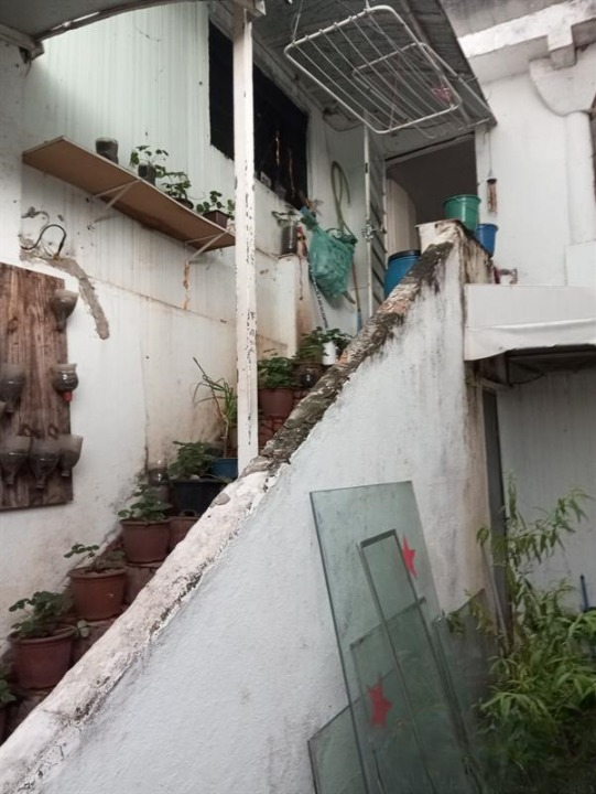 casa vila  santana Rua Mercedes Lopes São Paulo - 