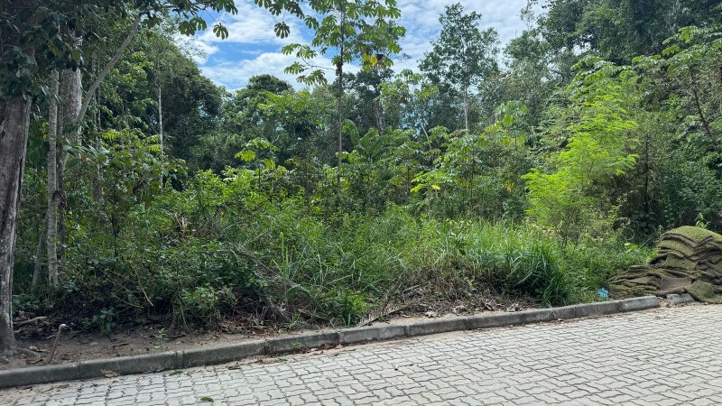 Terreno no Condomínio Coqueiral em Trancoso Condomínio Coqueiral Porto Seguro - 