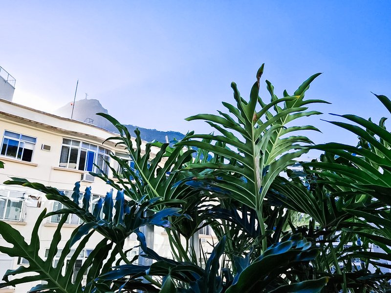 Cobertura duplex no Humaitá - Rio de Janeiro - 
