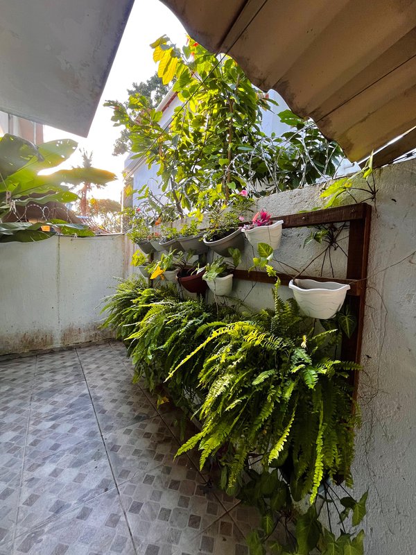 Casa no Bairro São Francisco São Francisco Porto Seguro - 