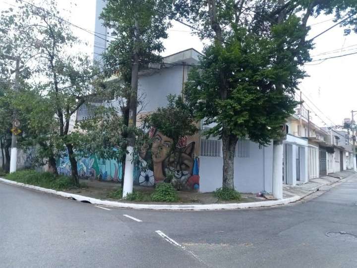 sobrado a  venda Rua Diogo de Castilho São Paulo - 
