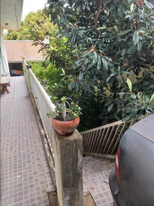 sobrado Rua Amadeu de Queirós São Paulo - 