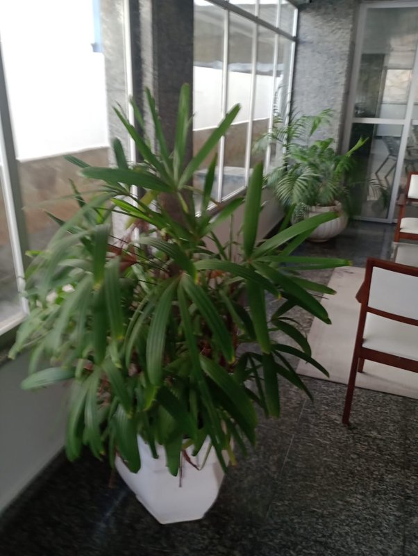 APARTAMENTO NASCENTE 3 QUARTOS 2 SUÍTES VARANDA GABINETE 2 GARAGENS À VENDA NA PITUBA! Rua Anthenor Tupinambá Salvador - 