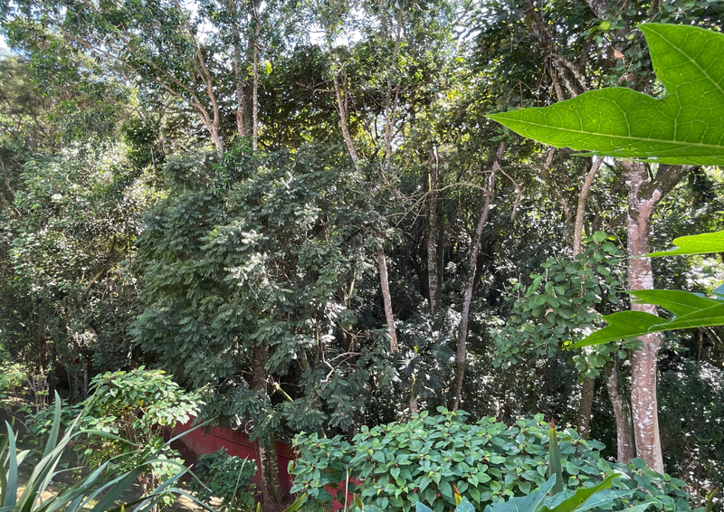 Residencial Scenic - Casa Alto Padrão Avenida Pentágono Santana de Parnaíba - 