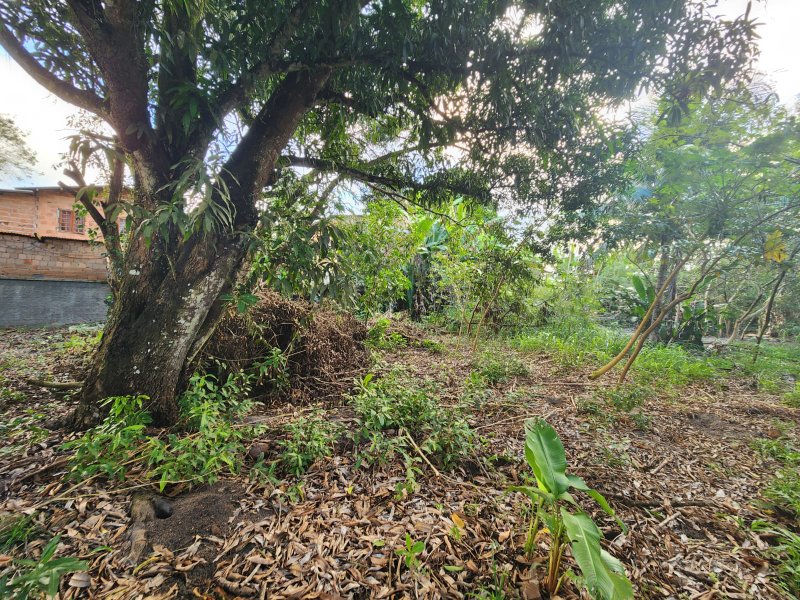 Terreno na Rua Estela Cadente, Estrada da Balsa Estrada da Balsa Porto Seguro - 