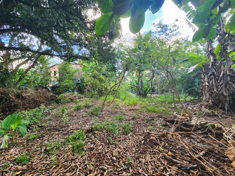Terreno na Rua Estela Cadente, Estrada da Balsa Estrada da Balsa Porto Seguro - 