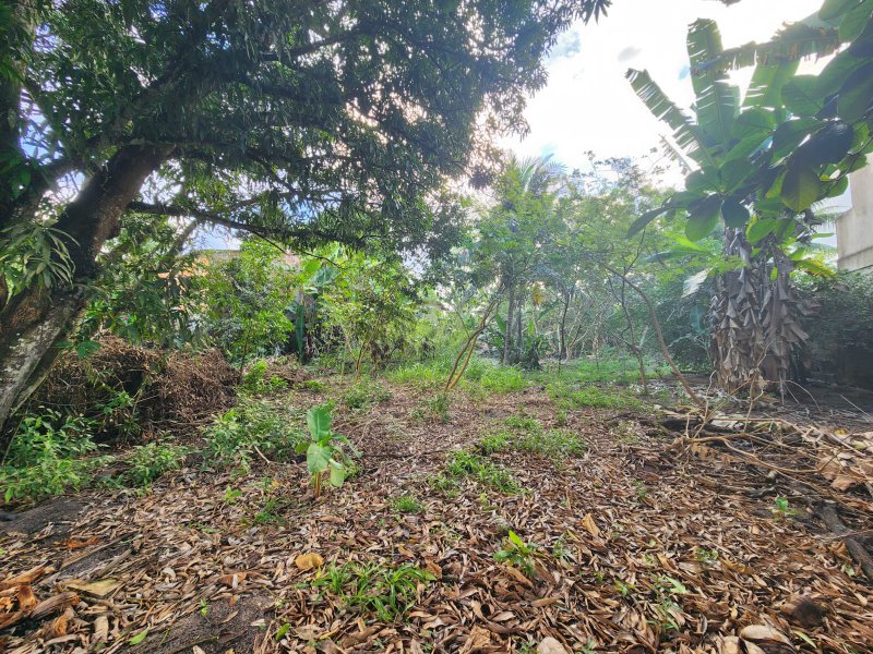 Terreno na Rua Estela Cadente, Estrada da Balsa Estrada da Balsa Porto Seguro - 