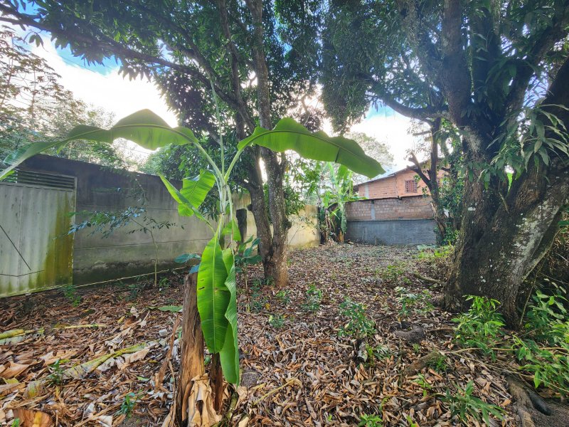 Terreno na Rua Estela Cadente, Estrada da Balsa Estrada da Balsa Porto Seguro - 
