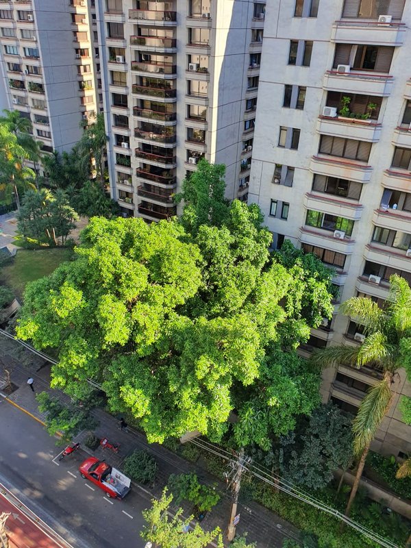 ALUGA-SE COBERTURA – 126M2 – 2 QUARTOS – 1 VAGA – LOCALIZAÇÃO LUXUOSA Rua Professor Artur Ramos São Paulo - 
