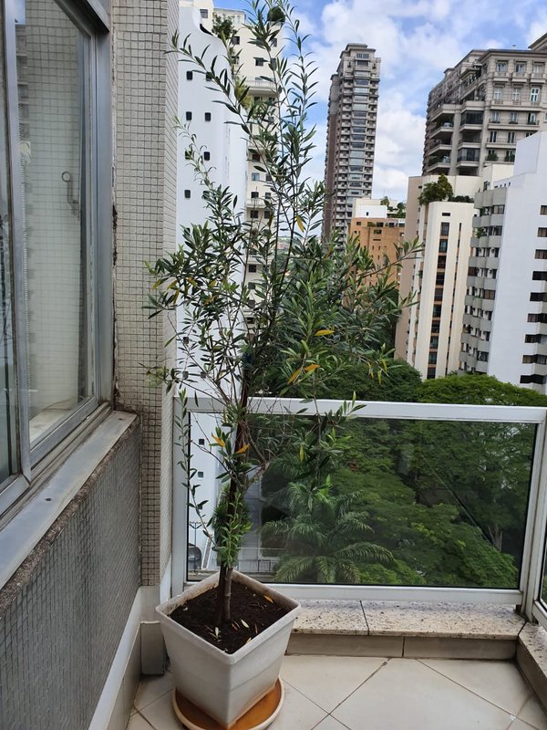 ALUGA-SE COBERTURA – 126M2 – 2 QUARTOS – 1 VAGA – LOCALIZAÇÃO LUXUOSA Rua Professor Artur Ramos São Paulo - 