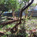 Terreno com 900m2 próximo á Av Tramandaí Rua Leme Porto Alegre - 