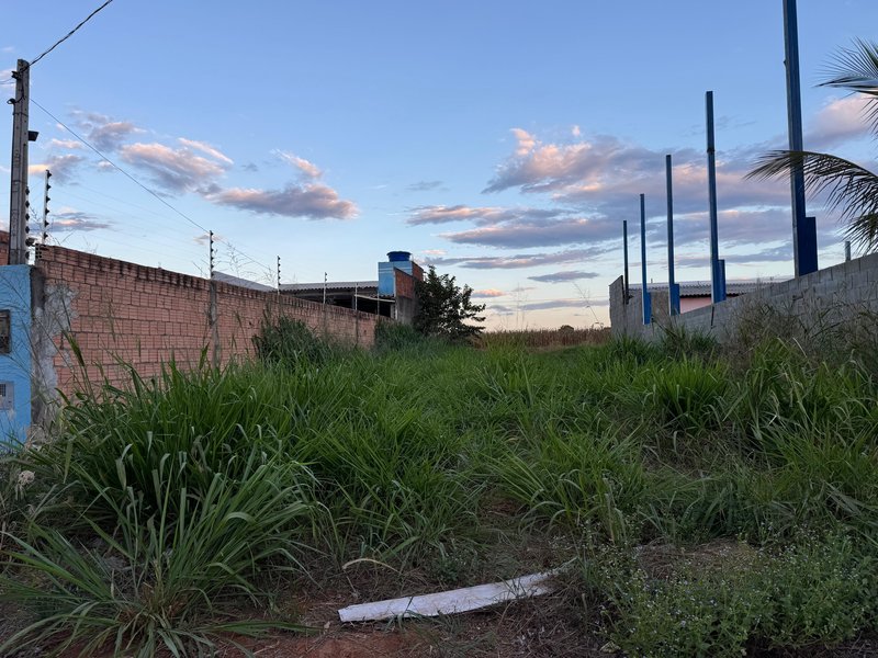 Terreno a venda no Jardim Viena em  Sinop/MT na Avenida - Sinop - 