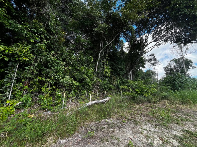 Terreno na Estrada do Pagão Estrada do Pagão Porto Seguro - 