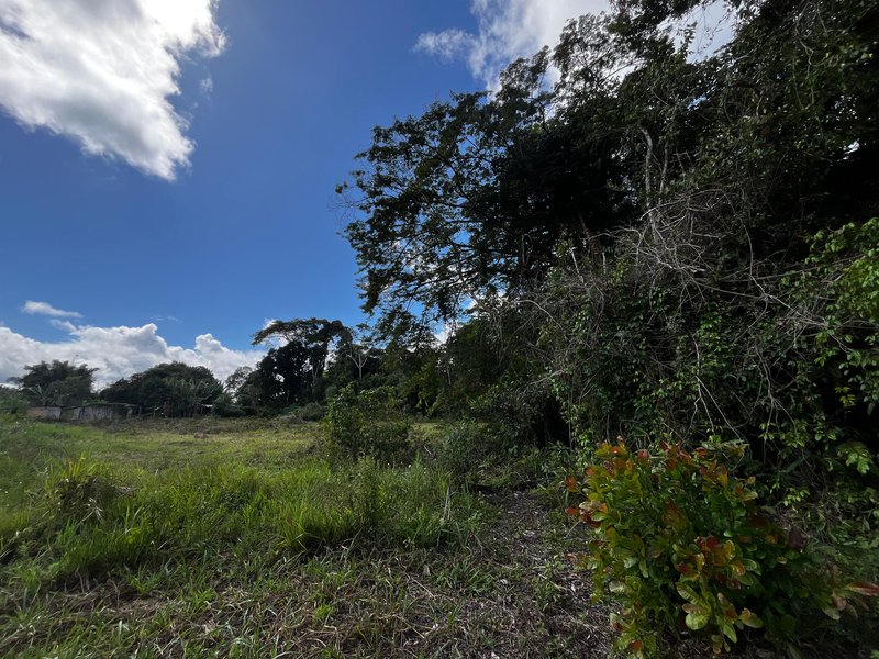 Terreno na Estrada do Pagão Estrada do Pagão Porto Seguro - 