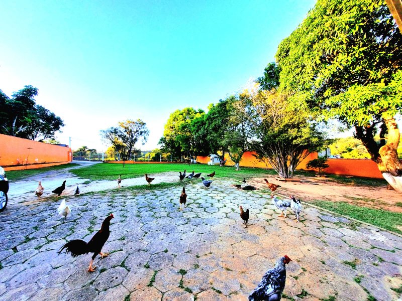 Chacara à VENDA, 1300m², Dorm. 1 Suíte - Energia Solar - R$ 498.000 - Araçoiaba da Serra Estrada de Aparecida Araçoiaba da Serra - 