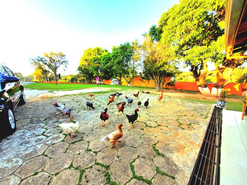 Chacara à VENDA, 1300m², Dorm. 1 Suíte - Energia Solar - R$ 498.000 - Araçoiaba da Serra Estrada de Aparecida Araçoiaba da Serra - 