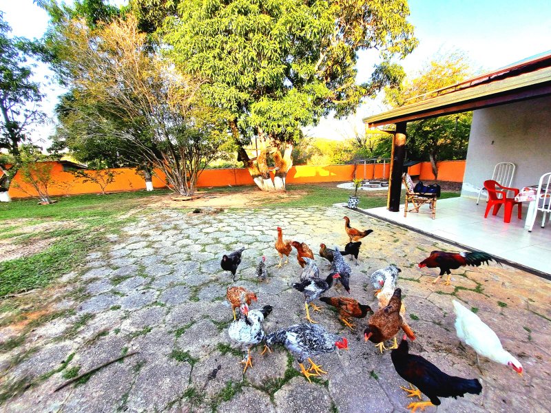 Chacara à VENDA, 1300m², Dorm. 1 Suíte - Energia Solar - R$ 498.000 - Araçoiaba da Serra Estrada de Aparecida Araçoiaba da Serra - 