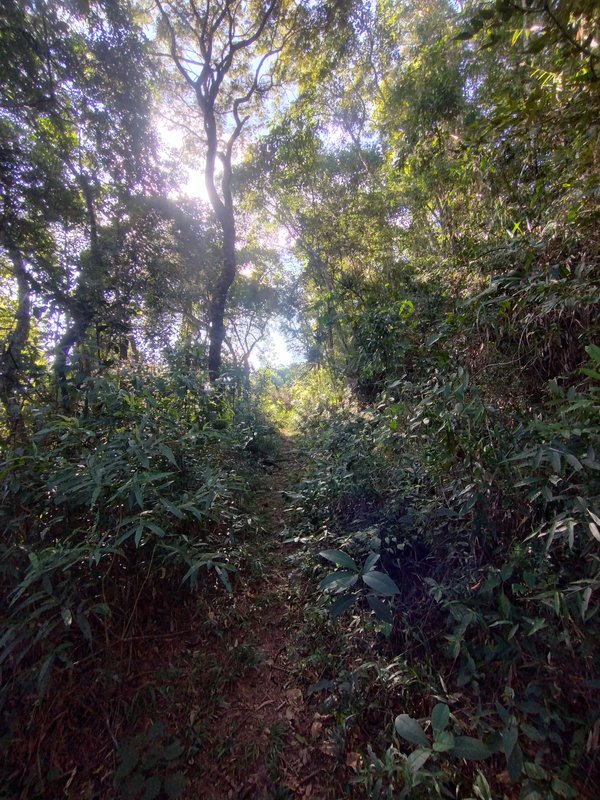 Terreno à venda com vista para a serra - Nazaré Paulista - 